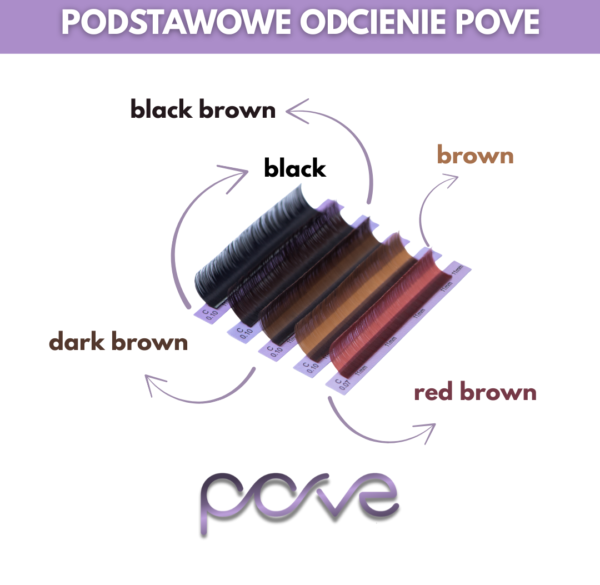 podstawowe odcienie pove lashes